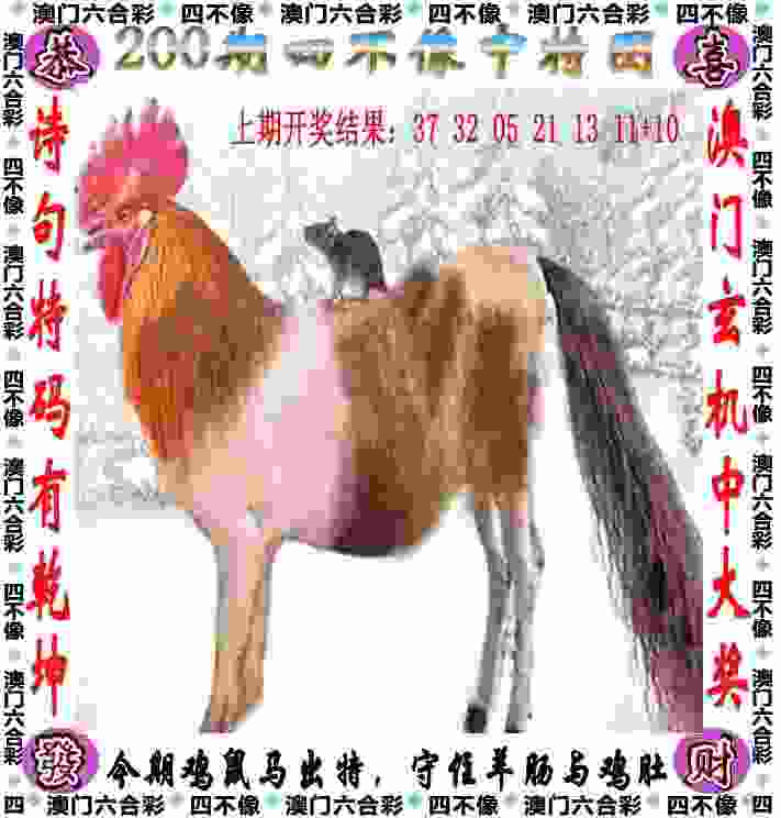 >一码爆(1)特